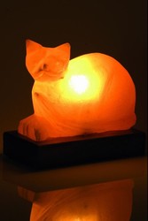 Lampe Chat